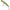 Vobler Illex Battle Minnow, 8cm, 6.3g, Pearl Ayu, 1buc/pac