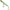 Vobler Illex Bonnie, 10,7cm, 17.5g, Rainfall Yellow, 1buc/pac