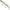 Vobler Illex Bonnie, 12.8cm, 25g, Rainfall Yellow, 1buc/pac