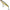 Vobler Illex Bonnie, 6.5cm, 4.3g, Uv Secret Gold Baitfish, 1buc/pac