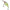 Vobler Illex Cherry Diving, 4,8cm, 7.8g, Lime Chart Tiger, 1buc/pac