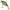 Vobler Illex Chubby, 4.1cm, 5.5g, Agressive Perch, 1buc/pac