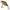 Vobler Illex Chubby, 4.1cm, 5.5g, Perch, 1buc/pac