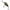Vobler Illex Chubby, 4.1cm, 6.1g, Guripan Tiger, 1buc/pac