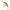 Vobler Illex Chubby, 4.1cm, 6.1g, Perch, 1buc/pac