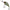 Vobler Illex Chubby Diving, 3,8cm, 4.3g, Hs Ghost Minnow, 1buc/pac