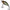 Vobler Illex Magic Crank Floating Sr, Ghost Minnow, 3.8g, 4cm, 1buc/pac