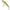 Vobler Illex Squad Minnow Floating, Sp Perch, 14g, 7.9cm, 1buc/pac
