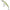 Vobler Illex Squad Minnow Suspending, Sp Vairon, 6.5cm, 5.8g, 1buc/pac