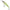 Vobler Illex Squirrel Minnow Floating, Sp Lime Chart Tiger, 6.1cm, 4.5g, 1buc/pac