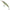 Vobler Illex Squirrel Minnow Floating, Sp Magic Green Perch, 6.1cm, 4.5g, 1buc/pac