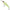Vobler Illex Squirrel Minnow Suspending, Sp Lime Chart Tiger, 14g, 7.9cm, 1buc/pac