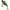Vobler Illex Tn Sinking, Aggressive Perch, 5.1g, 3.8cm, 1buc/pac