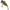 Vobler Illex Tn Trigon Sinking, Aggressive Perch, 7.3g, 3.8cm, 1buc/pac