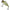 Vobler Illex Tn Trigon Sinking, Hs Ghost Minnow, 18.5g, 6cm, 1buc/pac