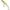 Vobler Illex Tiny Fry Suspending Minnow, Chartreuse Back Yamame, 2.7g, 5cm, 1buc/pac