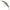 Vobler Illex Tricoroll Gt Floating, Nf Ayu, 8g, 7.2cm, 1buc/pac