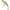 Vobler Illex Tricoroll Hw, Nf Ayu, 4.7cm, 3.2g, 1buc/pac