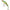 Vobler Illex Tricoroll Hw, Nf Ayu, 5.5cm, 3.5g, 1buc/pac