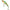 Vobler Illex Tricoroll Knocker Shw Sinking, Nf Ayu, 5.3cm, 4.3g, 1buc/pac