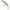 Vobler Illex Tricoroll Knocker Shw Sinking, Nf Ayu, 7cm, 10.1g, 1buc/pac