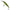 Vobler Illex Twitch Flesh Minnow D2r Suspending, Grupian Craw, 7.5cm, 8.2g, 1buc/pac