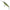 Vobler Illex Twitch Flesh Minnow D2r Suspending, Grupian Craw, 9.5cm, 18.3g, 1buc/pac