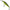 Vobler Illex Twitch Flesh Minnow Sp Dr Suspending, Guripan Tiger, 6.1cm, 4.9g, 1buc/pac