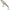 Vobler Illex Water Moccasin Top Water, Secret Sand Eel, 9.4g, 7.5cm, 1buc/pac