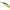 Vobler Jackall D Chubby Minnow 3ssp, Matte Tiger, 3.5cm, 2.7g