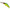 Vobler JACKALL D Chubby Minnow 3SSP, Matte Tiger, 3.5cm, 2.7g