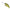 Vobler Jackall Dd Chubby 38f, Ghost G Perch, 3.8cm, 4.7g