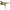 Vobler Jackall Rv- Crawler, Grass Frog, 10.2cm, 31g