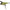 Vobler JACKALL RV- Crawler, Grass Frog, 10.2cm, 31g