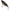 Vobler Jackall T70 Full Tungsten, Wabisabi Gold Black, 18.5g, 7cm, 1buc/pac