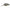 Vobler Jackall Panicra Dr, Tk Glow, 3.2cm, 3.6g