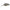 Vobler Jackall Panicra DR, TK Glow, 3.2cm, 3.6g