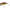 Vobler Jackall Tn50 Trigon, Kawashima Prism Wakasagi, 5.2cm, 11.2g