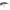 Vobler Jackall Tn60 Trigon, Hs Impact White, 6cm, 8.5g