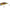 Vobler Jackall Tn60 Trigon, Kawashima Prism Wakasagi, 6cm, 8.5g