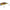 Vobler Jackall Tn70 Trigon, Kawashima Prism Wakasagi, 7cm, 31.5g