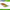 Vobler Jackson Trout Tune Ry3, 5.5cm, 3g, 1buc/pac