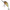 Vobler Kenart Diver Floating, 4cm, 4g, Ng Natural Gold, 1 Buc/pac