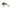 Vobler Kenart Baster Sinking 3,5cm 3gr RTR Rainbow Trout  1 buc/pac