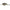 Vobler Kenart Bison Floating 6cm 7gr NR Natural Roach  1 buc/pac