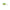 Vobler Kenart Hunter Floating 2cm 1.5gr Gt Green Tiger  1 Buc/pac