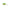 Vobler Kenart Hunter Floating 2cm 1.5gr GT Green Tiger  1 buc/pac