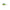 Vobler Kenart Hunter Floating 2cm 1.5gr NRX Natural Roach Fluo  1 buc/pac