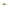 Vobler Kenart Hunter Floating 3cm 2.5gr NRX Natural Roach Fluo  1 buc/pac