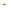 Vobler Kenart Hunter Floating 4cm 4gr GT Green Tiger  1 buc/pac